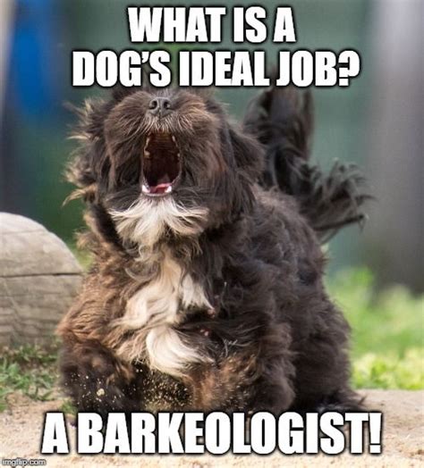 Dog barking meme. Things To Know About Dog barking meme. 