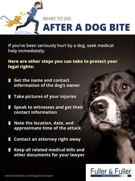 Dog bite lawyers near me. We have in-depth knowledge of Ohio’s dog bite laws and how the courts handle these cases. We also are highly experienced in pursuing insurance claims related to dog bites. To schedule a free consultation, submit your information online or call (419) 871-9017. 
