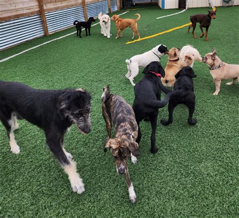 Dog boarding columbus ohio. Hi! We just moved from Columbus to Dayton(Northridge area) I do private, professional. in home dog boarding and daycare . We have ... 