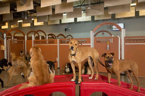 Dog boarding houston. Houston's Premier Dog Daycare, Boarding, Training & Grooming Facility. 3511 Milam Street Houston, TX 77002 (713) 529-1200 Tel (832) 637-8357 Fax. 