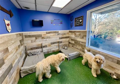 Dog boarding how much. Description: Dog Daycare 2 - Dogs $37 Daily One Dog - 10 - Visits $200 One Dog - 30 - Visits $525 Two Dogs - 10 - Visits $350 Two Dogs - 30 - Visits $945 Dog Boarding 1 - Dog $36 2 - Dogs ( Same Family ) $65 3 - ... 