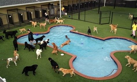 Dog boarding orlando fl. Discover Pet Boarding Deals In and Near Orlando, FL and Save Up to 70% Off. 