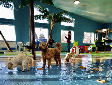 Dog boarding sioux falls. Since 2001 providing quality Dog Grooming and Boarding services in the Sioux Falls, Harrisburg, and Brandon South Dakota area. 