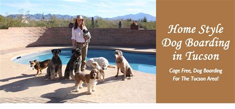 Dog boarding tucson. Valley Animal Pet Resort and Grooming. Tucson, AZ 85711 | 5.1 miles away. Full-service Tucson pet grooming and pet boarding for your dog, cat or bird. Only pet resort in Tucson Az with a 24-hour Emergency Vet Hospital onsite. Show me more! 