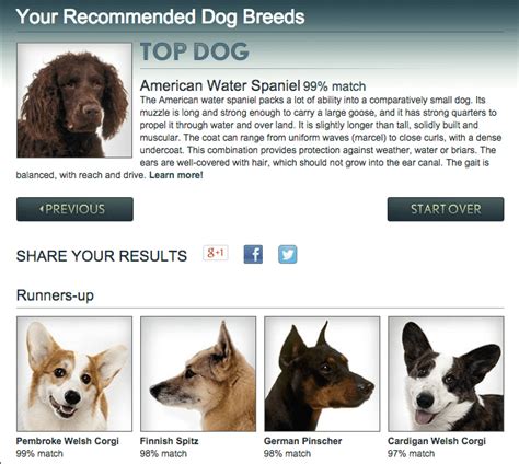 Dog breeds chooser. Here are the best dog breeds for first-time dog owners. The 176 Best Post-Cyber Monday Deals On Pet Products To Shop Right Now . Tip. Distinct breed traits—ease of training, aggression toward strangers, and prey drive—may be rooted in a dog’s genes, but each dog is different despite this hardwiring. Nurturing and behavioral training can ... 