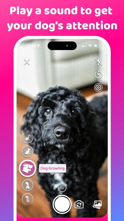 Dog camera app ipad.  Use your old iPhone, or iPad as a dog camera.  GPS Tracking o...