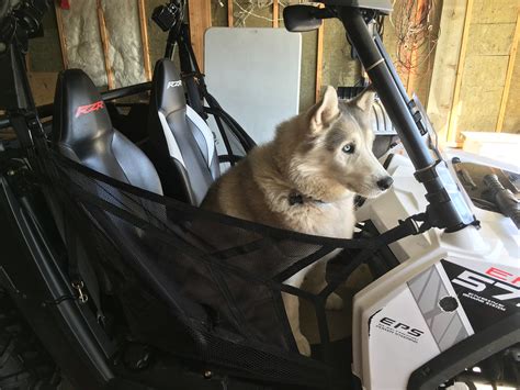 Dog center seat for rzr. .  <a href=https://www.accuhk.com/assets/images/2a4got/ind...