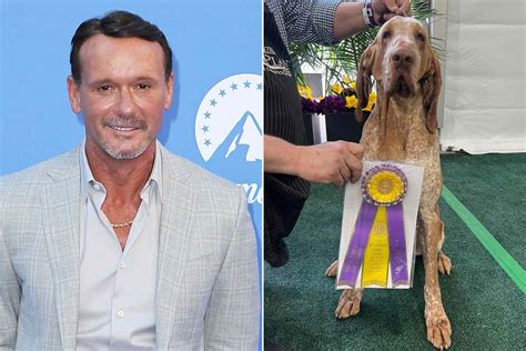 Dog co-owned by country's Tim McGraw wins new breed at show