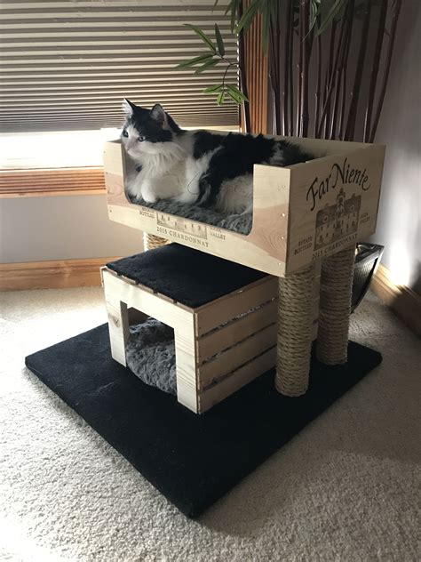 Dog crate and Cat trees