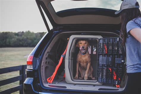 Dog crate for car. Firstly, crash-tested dog crates act as effective barriers against potential distractions while driving. Dogs, being naturally curious creatures, might try to explore the car or seek your attention, leading to potential hazards on the road. 