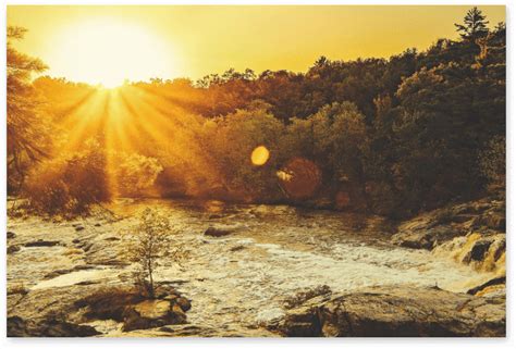 Dog cremation pasadena.  Contact us for dignified farewells.  Peaceful at-home ...