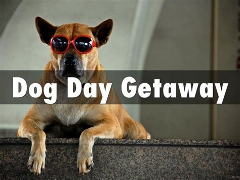 Dog day getaway. Things To Know About Dog day getaway. 