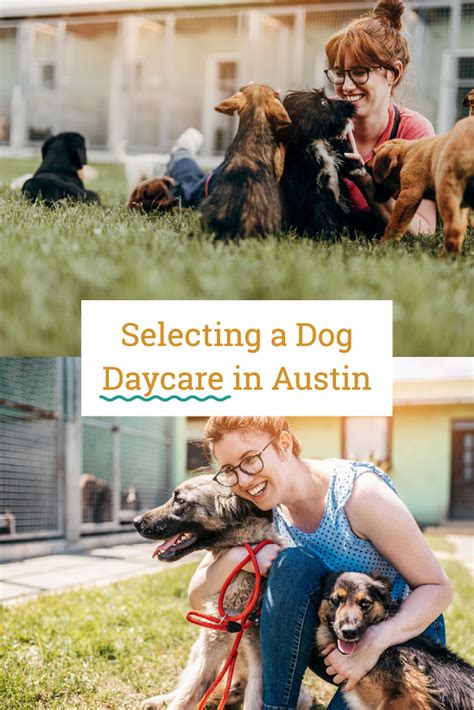 Dog daycare austin. book a visit. Instead of leaving your dog home alone when you’re at work or out running errands, take advantage of our dog daycare services at our state-of-the-art, fully-equipped, and conveniently located facility. Our highly trained team … 