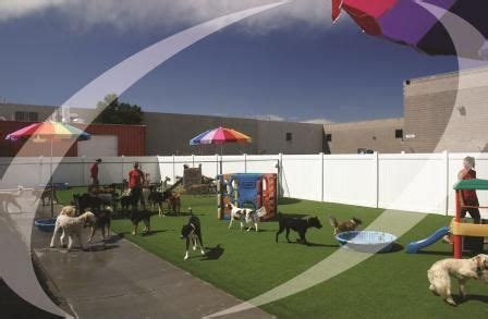 Dog daycare denver. Specialties: We offer Dog Daycare, Dog Boarding, Individual Play Daycare/Boarding, Bathing Services, One-on-One Dog Walks, & More. We also have a separate area just for our Littles. This ensures the safety of all of our lucky dogs as well as maximizes our play areas for both the bigs and the littles at ULD Right on the way to DIA, off I-25 & 38th … 