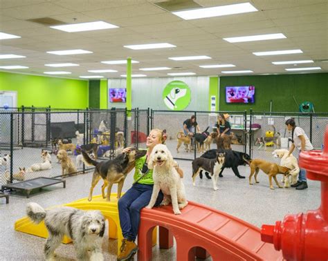 Dog daycare san diego. Daycare. Doggie Daycare at Pooch Hotel is where dogs rule. We have multiple play areas that allow your dog to run! Many of our facilities even have pools. Our Team Members keep it fun and safe for all: big, small and all sizes in-between. 