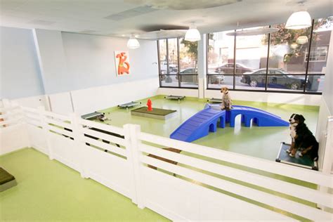 Dog daycare seattle. Canine Comfort Corner is a dog daycare, boarding & training facility serving Seattle from our location in Bothell, WA. Canine Comfort Corner is designed to provide a homey environment to make your dog's visit a pleasant and safe experience. We provide full service daycare, boarding, and other services delighting dogs from … 