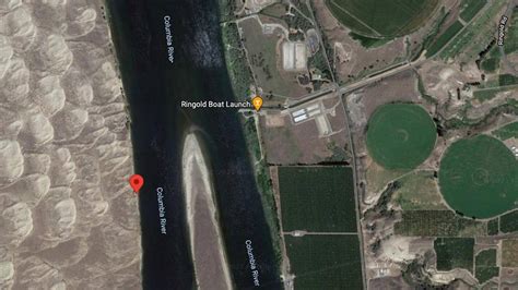 Dog dies after playing in Columbia River. Toxic algae suspected