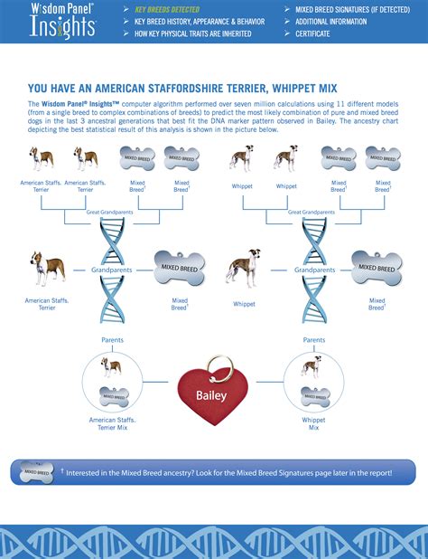 Dog dna. Mar 13, 2020 · Wisdom Panel Premium Dog DNA Kit: Most Comprehensive with 265+ Health Tests, Identify 365+ Dog Breeds, 50+ Traits, Relatives, Ancestry, Genetic Diversity - 1 Pack 4.6 out of 5 stars 1,530 1 offer from $127.99 