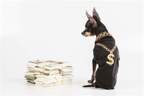 ALPS International Sector Dividend Dogs ETF: Exchange-Traded Fun