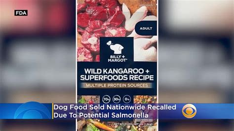 Dog food sold nationwide recalled due to possible salmonella risk