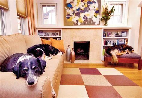 Dog friendly apartments. Things To Know About Dog friendly apartments. 