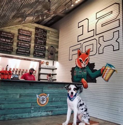 Dog friendly breweries. The Ready Room by Hook Point Brewing Co. 715 W. Brookhaven Circle; hookpointbrewing.com. Just a short walk away from the Malco Paradiso in East … 