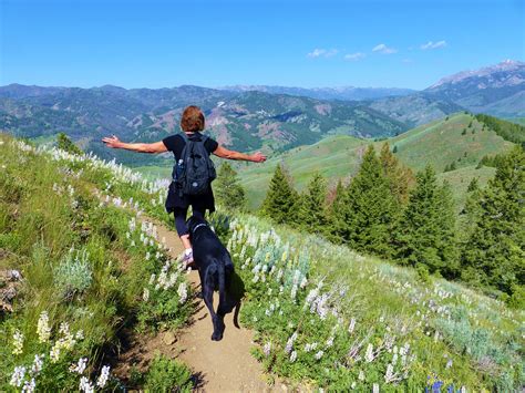 Dog friendly hikes. If you’re an outdoor enthusiast seeking a rush of adrenaline and a peaceful escape from the hustle and bustle of everyday life, look no further than off-the-beaten-path hiking trai... 