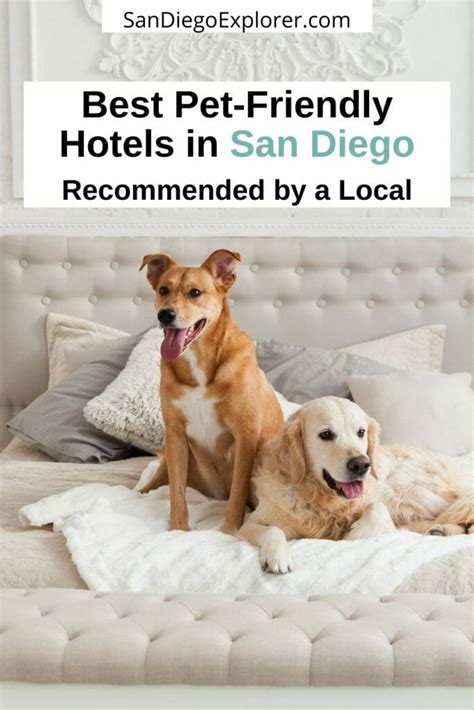 Dog friendly hotels in san diego. Original La Jolla Sea Cave Kayak Tour for Two. 416. Kayaking Tours. from. $99.00. per group (up to 2) San Diego: The Most Extensive City & Beach Tour. 15. 