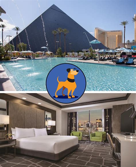Dog friendly hotels las vegas. Staybridge Suites Las Vegas - Stadium District. 5735 Dean Martin Drive. Las Vegas, Nevada 89118, United States. 1910 reviews. Parking. Pool. 