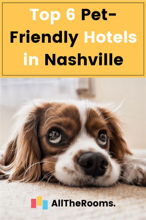 Dog friendly hotels nashville tn. Directions. Virgin Hotels Nashville is pet friendly! Two pets of any size are welcome for no additional fee. Both dogs and cats are allowed. Doggie beds, feeding bowls, and a Virgin Hotels bandana are offered based on availability. Check Rates. Or, browse all pet friendly hotels in Nashville if you’re still looking. 