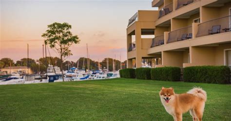 Dog friendly hotels san diego ca. Ocean Beach Hotel. 5080 Newport Ave., San Diego, CA. Free Cancellation. Reserve now, pay when you stay. $184. per night. Mar 11 - Mar 12. This hotel doesn't skimp on freebies - guests receive free WiFi and free self parking. If you want to take your pet along, this pet-friendly property offers ... 