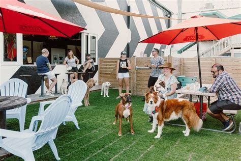 Dog friendly places near me. With its cozy outdoor seating, The Bine Beer and Food is a dog-friendly restaurant that touts an impressive draft beer menu and shareable small plates. Its ... 