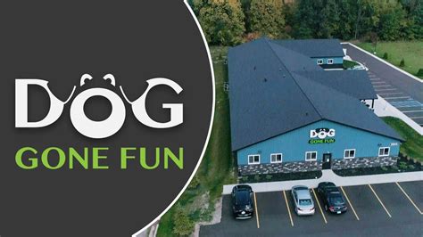 Dog Gone Fun Dog Daycare in Okemos, MI offers a variety of services for all dogs of all breeds and ages, including dog training, grooming, boarding and daycare facilities. Follow Us: Mon - Fri: 7am – 6:30pm.