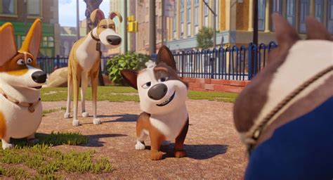 Starring: Big Sean, Pamela Adlon, Lucy Hale Watch all you want. Big Sean, Lucy Hale, Wilmer Valderrama, Snoop Dogg, Betty White and more lend their voices to this funny, furry tale. Videos Dog Gone Trouble Trailer: Dog Gone Trouble More Details Watch offline Downloads only available on ad-free plans. Genres . 