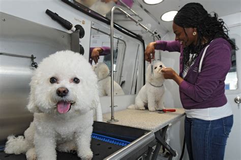 Best Pet Groomers in Bel Air, MD 21014 - Fuzzybutts Mobile 