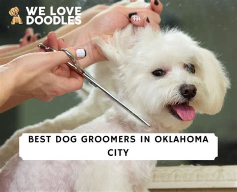 Best Pet Groomers in Lindsay, OK 73052 - The Pet Pawlor, Dog