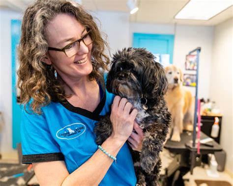 Dog groomers in susanville ca. Best Pet Groomers in Sunnyvale, CA - M & J Pet Grooming, Madeline's Pet Care, Lush Spaw, Wow! My dog, Groombuggy Mobile Dog Grooming, Canine Showcase, The Tails In The City, The Dog Pawlor, Marvelpup. 
