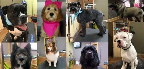 There are 3 different ways to price dog grooming. If you choose to bring your dog to a local shop, you can expect to pay around $40 to $75 based on dog size. A mobile dog groomer can come to you for around $75 for an average size dog. Also, you can groom your dog at self-service facility for between $11 to $23.. 