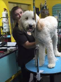 Dog grooming omaha. Schedule your next dog grooming appointment at Petco Omaha Dodge, NE! We offer a full range of grooming services from baths, haircuts, nail trimming, & more. 