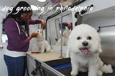 Dog grooming philadelphia. Experienced Dog Groomer. Champions Premier Dog Parlor. 22 W Chestnut St, West Chester, PA 19380. From $1,000 a week - Part-time, Full-time. Responded to 75% or more applications in the past 30 days, typically within 3 days. Apply now. 