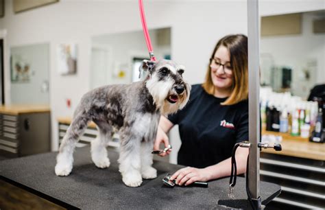Dog grooming portland. Taking care of our furry friends is a top priority for many pet owners. Regular grooming plays a crucial role in the overall health and well-being of our beloved dogs. If you’re lo... 