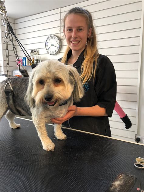 Dog grooming richland wa. PupTown Pet Salon, Richland, Washington. 531 likes · 67 were here. To make your dog feel and look his/her best. Pampering your pet is our privilege. 