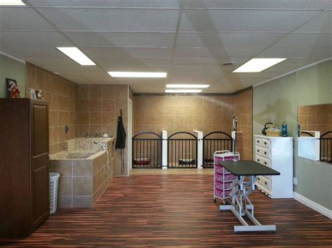 Dog grooming space for rent near me. Things To Know About Dog grooming space for rent near me. 