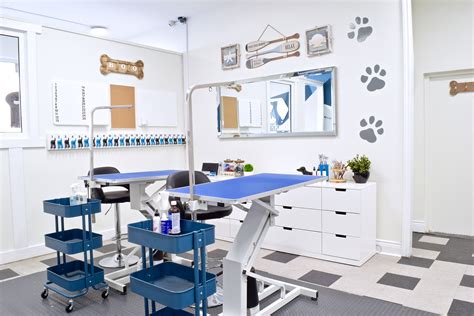 Home. Facility And Grounds Rental. Our Dog Training Center and outdoor Dog Park are the perfect places to rent to host any dog-friendly gathering. We accommodate dog and/or …. Dog grooming space for rent near me