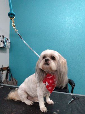 From Business: Mobile Dog Grooming Servicing Exeter, Woodlake, Lindsay, Strathmore, Lemon Cove and Visalia. 29. Canine Comfort Creek Grooming. Pet Grooming Dog & Cat Furnishings & Supplies Pet Stores. (11) Website. (559) 582-1599. 1285 N 10th Ave. Hanford, CA 93230. .