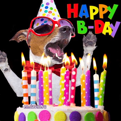 Dog happy birthday gif. Things To Know About Dog happy birthday gif. 