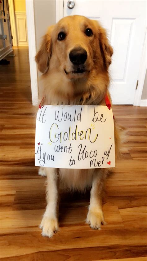 Dog homecoming proposals. Jan 13, 2019 - Only for the dog! Best homecoming proposal ever! #hoco #hocoproposals 