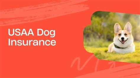 Dog insurance usaa. Things To Know About Dog insurance usaa. 