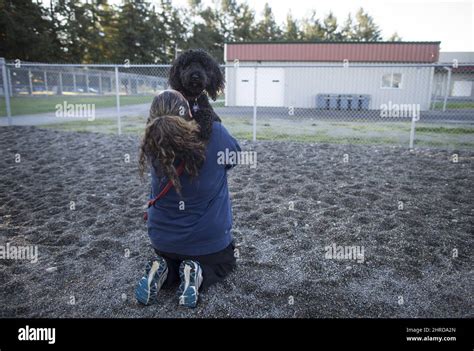 Dog kennel training for Fraser Valley inmates ... - Langley Advance …