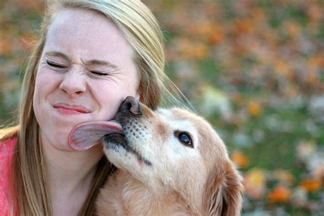 Dog licks cock. Things To Know About Dog licks cock. 